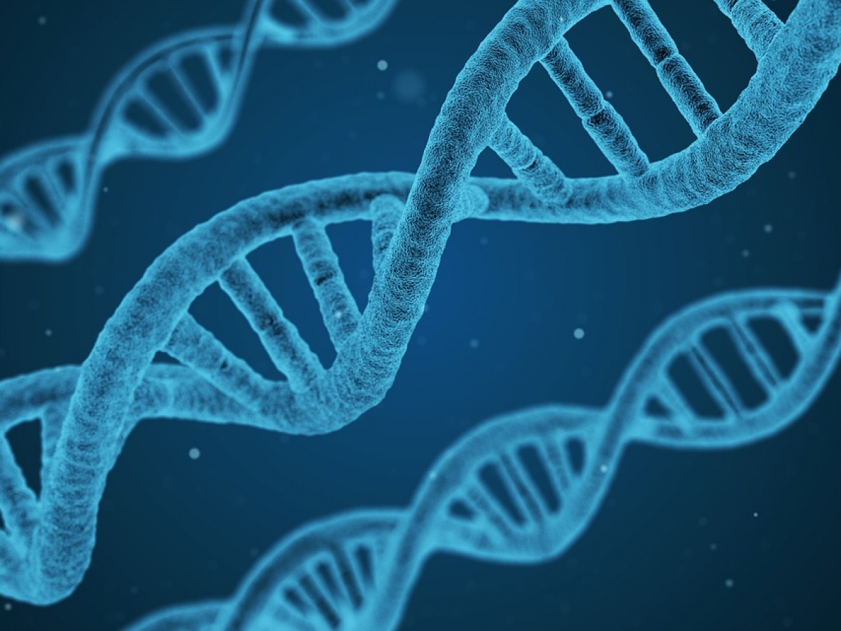 Comment le ThetaHealing et la Kinésiologie pourraient Influencer l’ADN