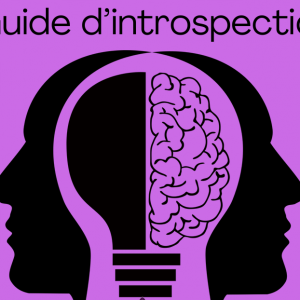 Journal Introspectif – 335 Questions Pour Vous Révéler