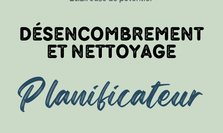 Capture d'écran 2025-02-24 233221